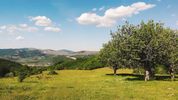 The old pear trees and beautiful landscape hills fields of Brus village, Kosovo