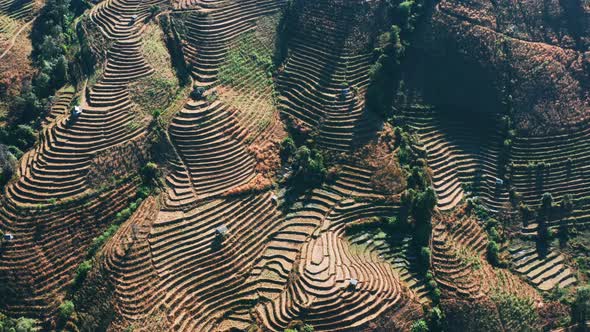 Ban Pa Pong Piang Rice Terraces or Baan Pa Pong Pieng in Doi Inthanon National Park Chiang Mai