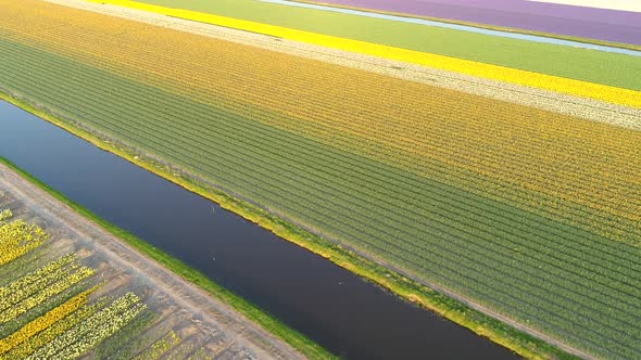 Aerial view of The Garden of Europe at Keukenhof botanical garden, Netherlands.