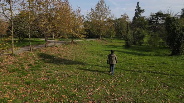 Autumn Walk