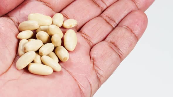 Macro White Cannellini Beans