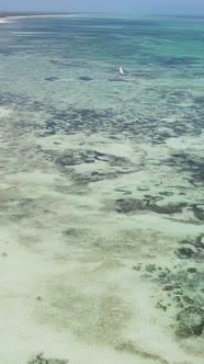 Vertical Video of the Ocean Near the Coast of Zanzibar Tanzania