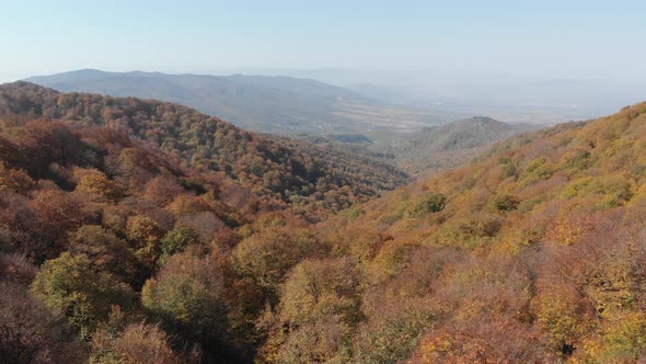 Sabaduri Mountain. Autumn forest. Georgia