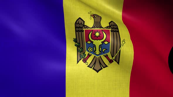 Moldova Flag