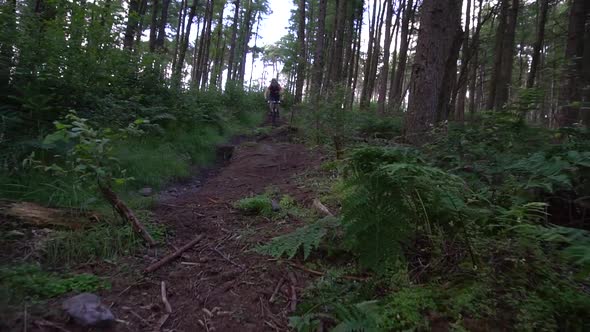 A mountain biker rides on a singletrack trail