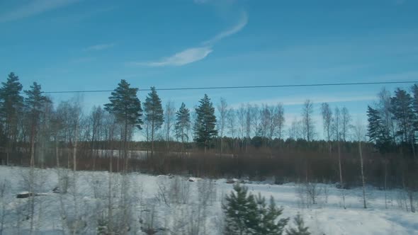 Fields and Forests From the Train Window