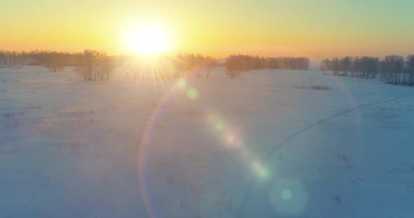 Aerial Drone View of Cold Winter Landscape with Arctic Field Trees Covered with Frost Snow and