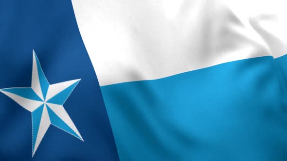 Dallas County Flag (Texas)