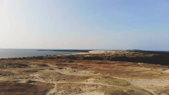 AERIAL: flying towards sea on the sunny evening over dead sand dunes near Baltic Sea
