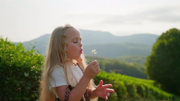 Fairhaired Girl Blowing a Dandelion