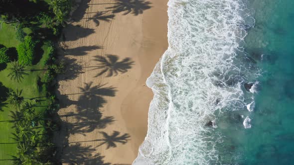 Aerial Paradise Island Vertical Mobile Footage Hawaii Island Beach Shore