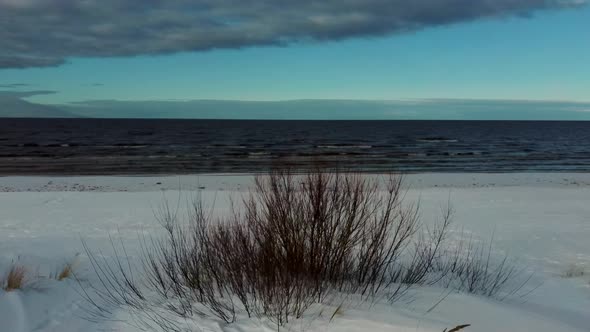 Aerial View at the Baltic Sea, Winter Season Landscape by the Sea in Sunny Day. Snowy Beach at Winte