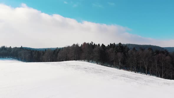 Slowmotion Video of Snowcovered Sloppy Landscape in the City of Krakow Poland