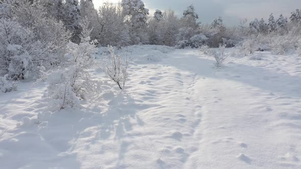 Snowed path by early winter morning 4K aerial footage