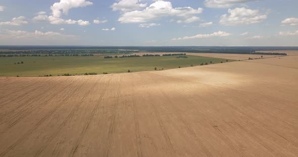 Drone Take Off Over a Wheat Field on a Sunny Summer Day with a Scenic View