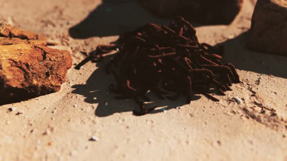 Old Rusted Abandoned Chain on Sand Beach