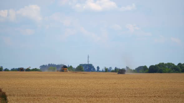 Combine harvester in action on wheat field background.