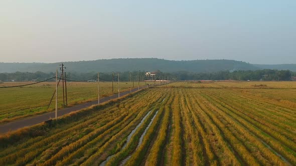 Aerial View a Field at Sunset and Power Lines with Houses