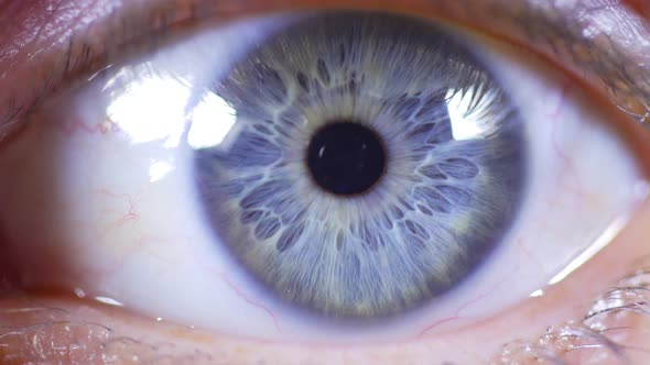 Female Eye Showing Pupil And Iris