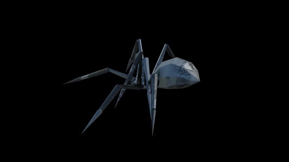 Metal Spider