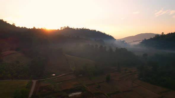 Aerial view from a drone over a foggy forest in the morning