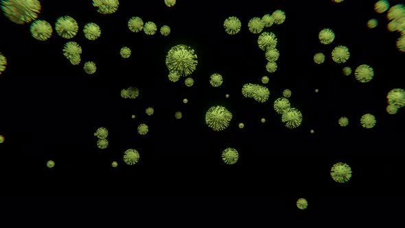 3d animation of 3D viruss cells