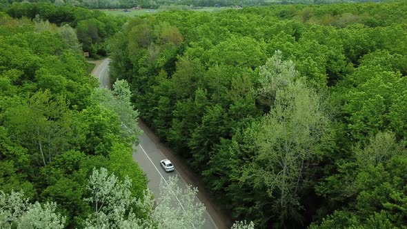 Aerial Top Down  View of White Car Driving on Rural Road in Forest