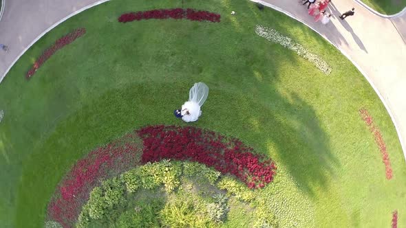 Aerial Shot of Newlyweds in Green Park and Moscow View