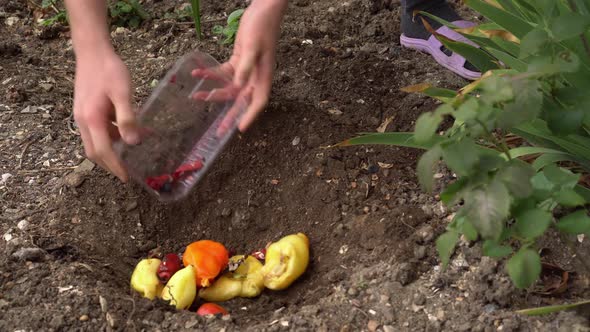 Compost Soil