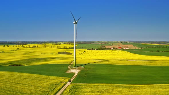 Wind turbine and rape fields in the spring, Poland