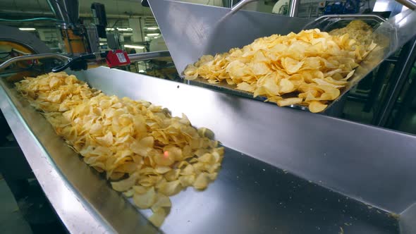 Metal Conveyor Is Relocating Piles of Fried Chips