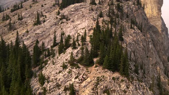 Aerial drone footage of a hiker standing quiet at the top of Rocky Mountain close to majestic pine t