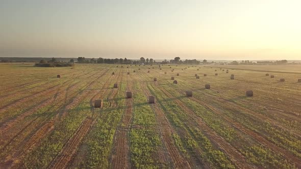 Harvesting, Flying Over The Cleared Field. Aerial shot, Combine Harvested Fields With Baling Hay.