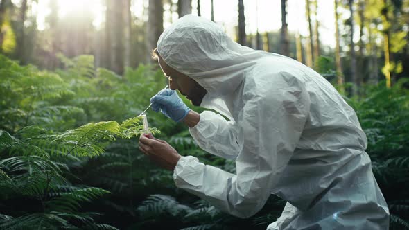 Biologist with White Protective Suit Takes Samples on New Plants in the Forest