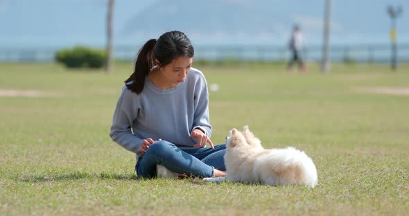 Young Woman training with her dog at outdoor park