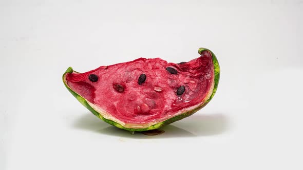 Piece of Ripe Watermelon Rots on White Background, Time Lapse, Educational Cognitive Video