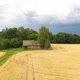 Top View Aerial Shot of Abandoned House in the Forest - VideoHive Item for Sale