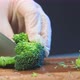 Professional Cook in White Gloves Cuts Green Broccoli - VideoHive Item for Sale