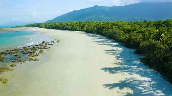 Aerial, Gorgeous Sand Beach And Rain Forest  At Cape Tribulation In Queensland, Australia