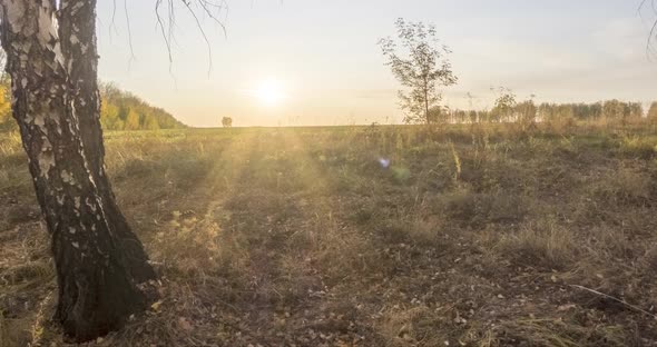 Meadow Timelapse at the Summer or Autumn Time