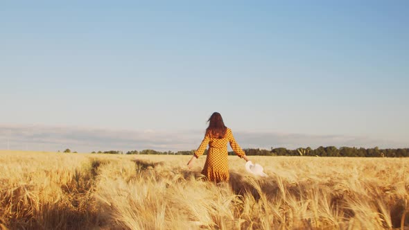 Pregnant woman in the rays of the sunset in the field