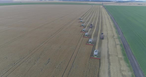 Aerial view of combines harvesting