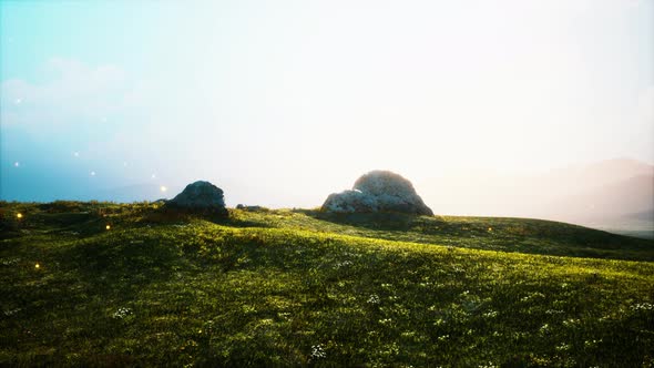 Alpine Meadow with Rocks and Green Grass