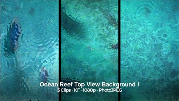 Ocean Reef Top View Background alt