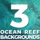 Ocean Reef Top View Background - VideoHive Item for Sale
