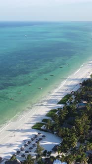 Vertical Video of the Beach on Zanzibar Island Tanzania