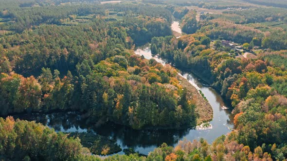 Foggy river and autumn forest in Poland, aerial view