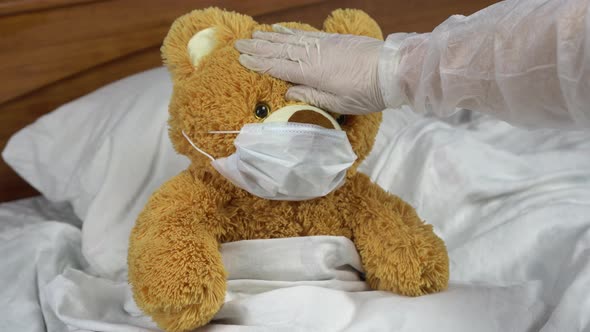 Teddy Bear Measure the Temperature By Hand. The Doctor Makes a Measurement of Temperature By