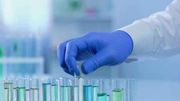 Lab Assistant Taking Test Tube, Watching Changes in Substance, Experimental Drug