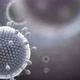 Paramyxovirus Mumps  COVID Pandemic Closeup of Virus Under Microscope - VideoHive Item for Sale